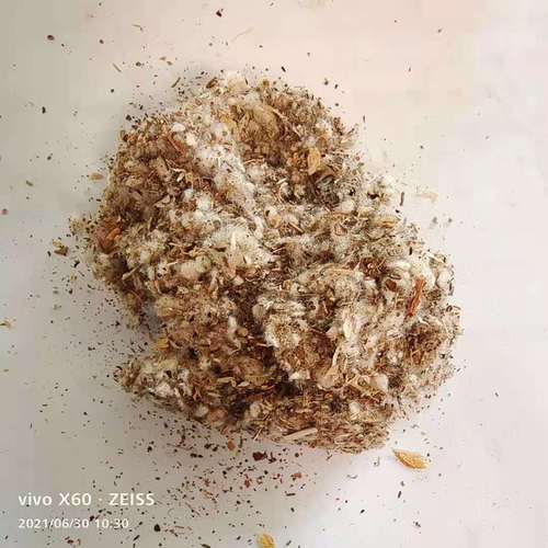 食用菌中绒中壳棉籽壳菌类培育种植大棚用棉籽皮油田堵漏剂棉渣